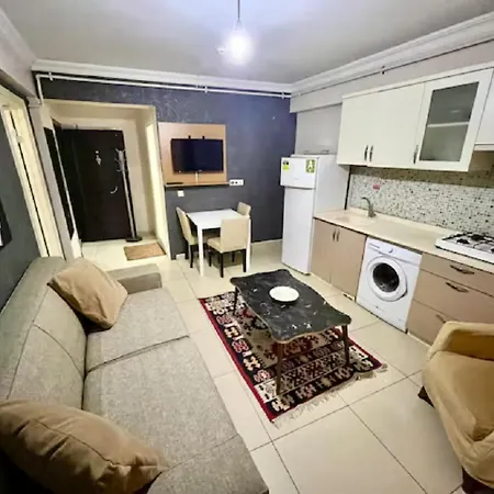 Polat 4*